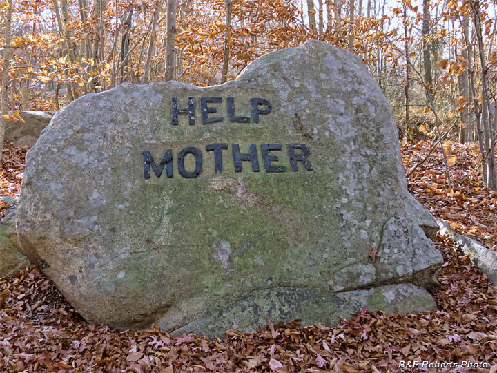 Help_Mother