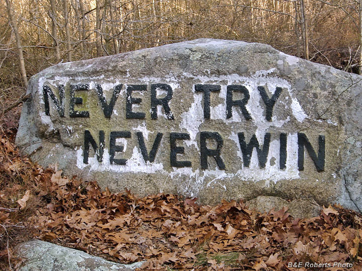 Never_Try_Never_Win