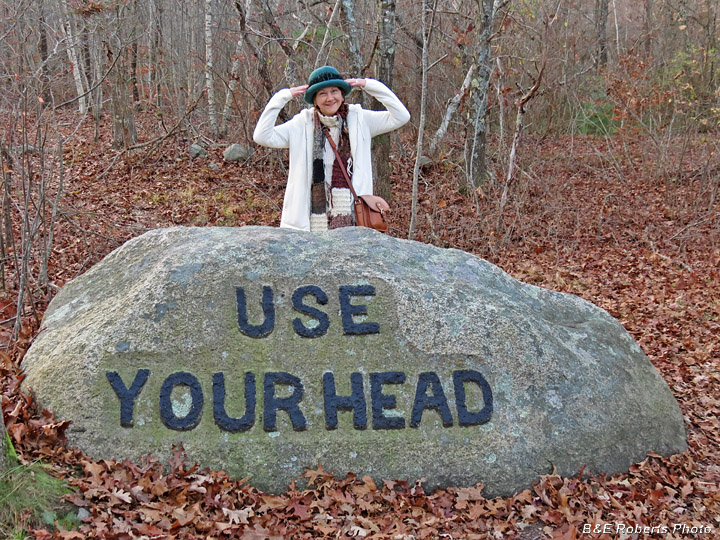 Use_Your_Head