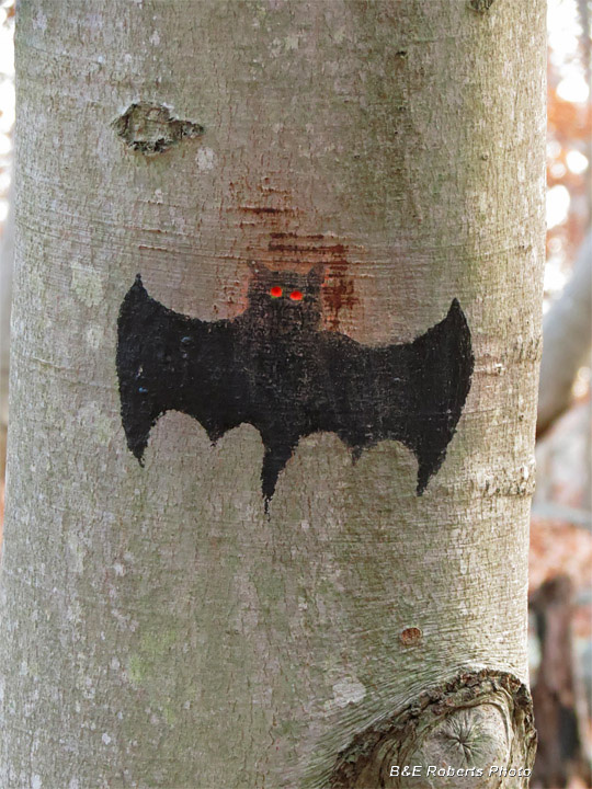 Bat_tree