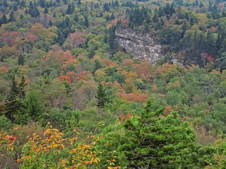 Rock_outcrop