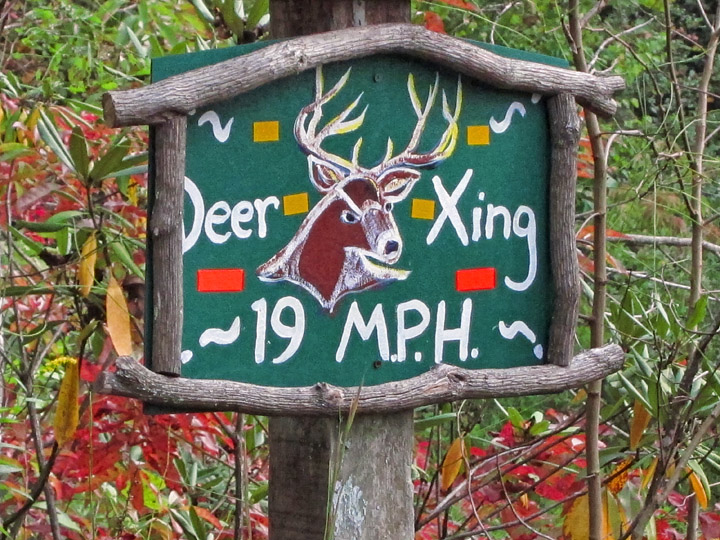 Deer_Crossing