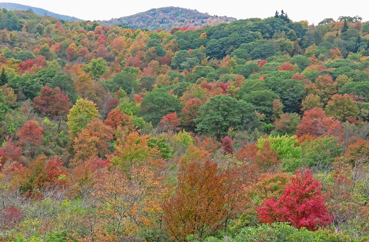 Graveyard_Fields