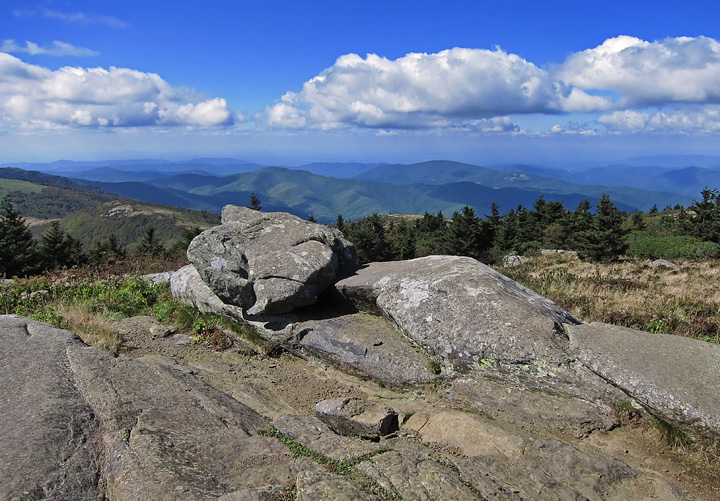 Grassy_Ridge_Bald_summit