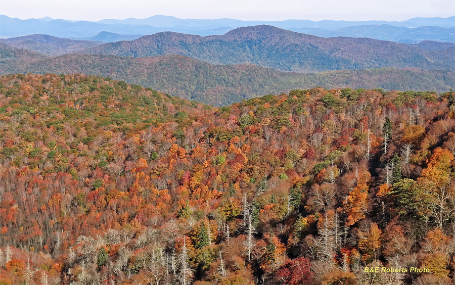 BRP_foliage_panorama