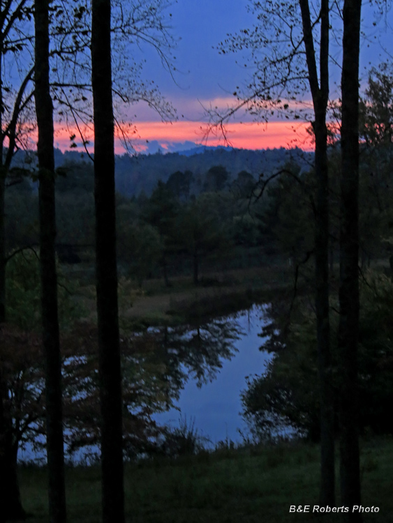 pond_at_dusk