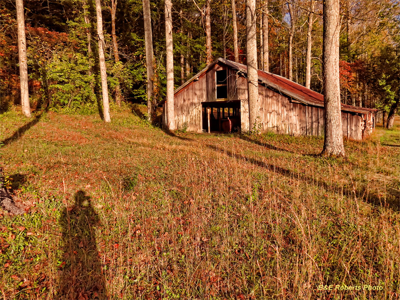 Barn_selfie