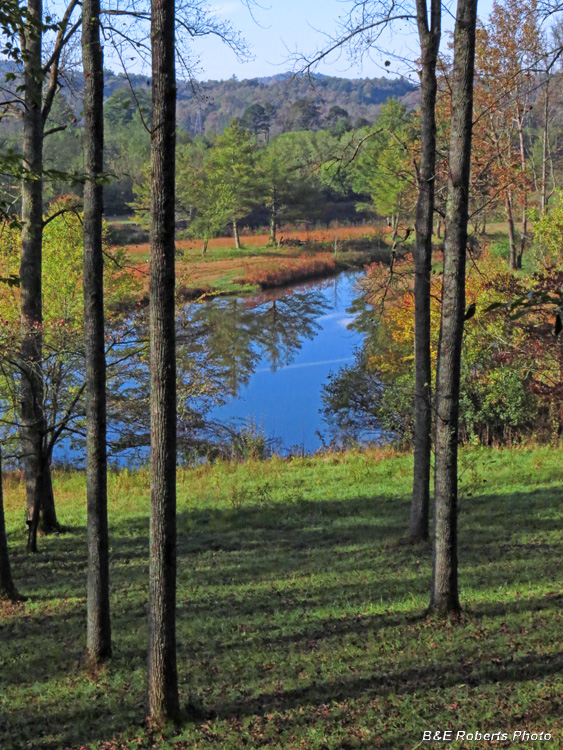 Cabin_view