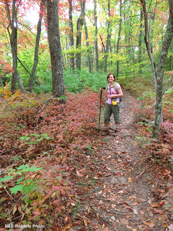 Trailside