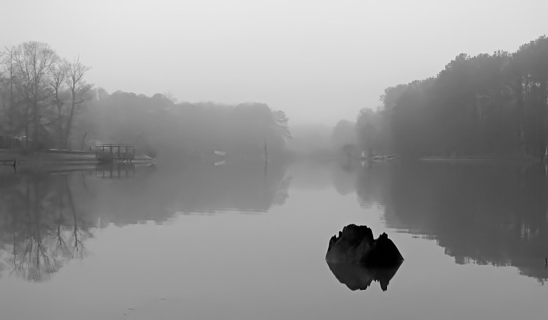 Foggy_Lake