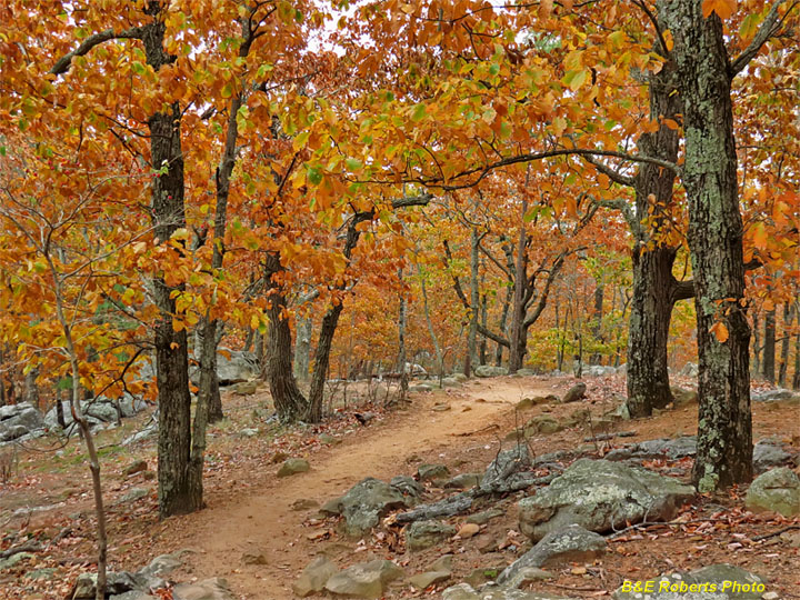 Pigeon_Hill_Trail