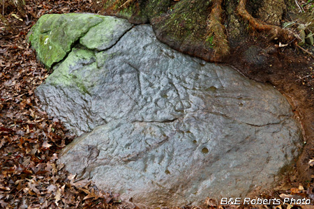 Petroglyph_rock