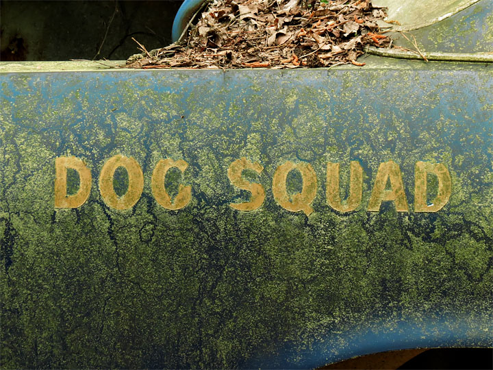Dog_Squad