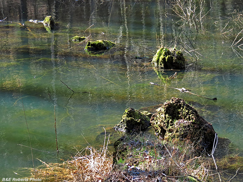 Pond_rocks