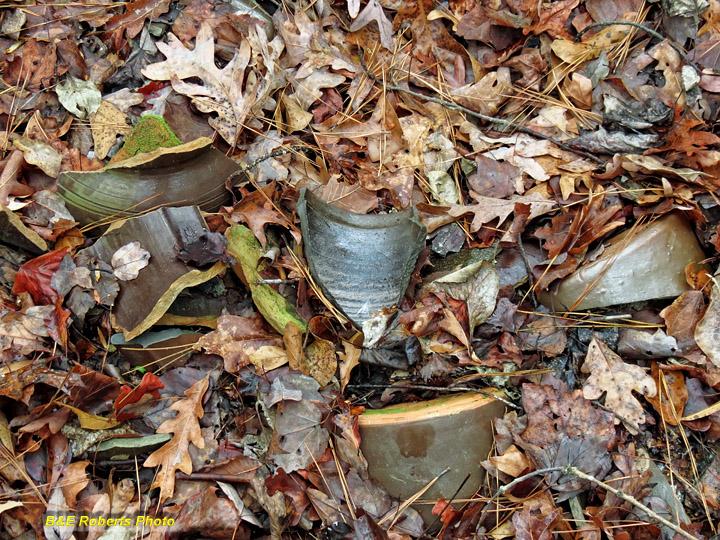 Potsherds