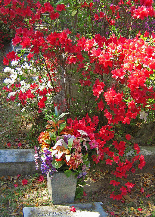 Grave_flowers