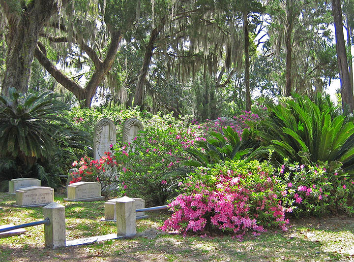 Cemetery_view