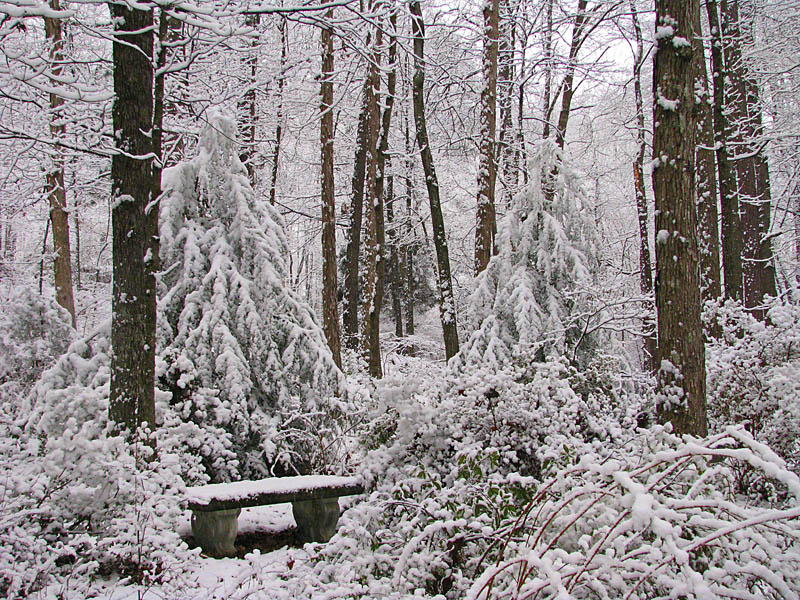 Snow_front_yard