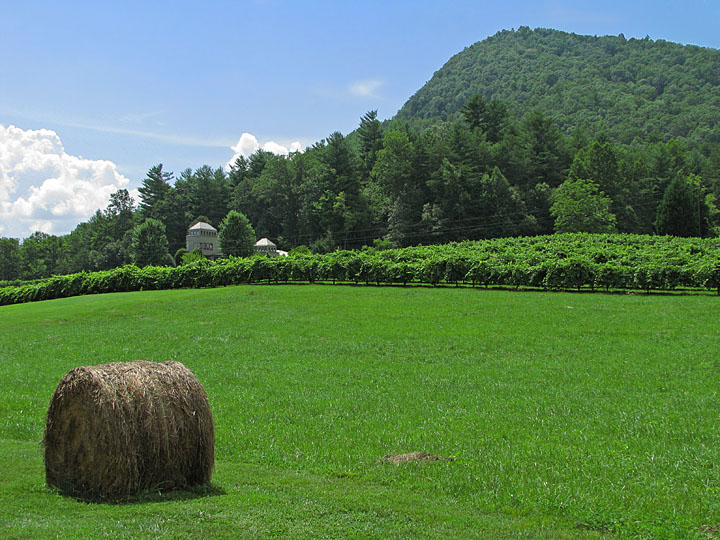 Hay-view