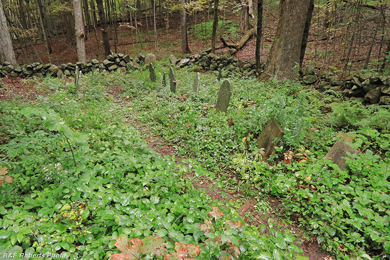 Goodrich_Cemetery