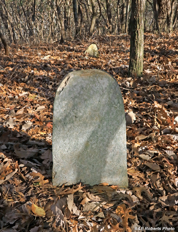 Two_northerly_gravestones