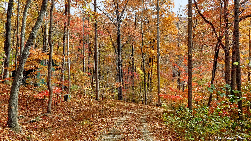 Driveway_color