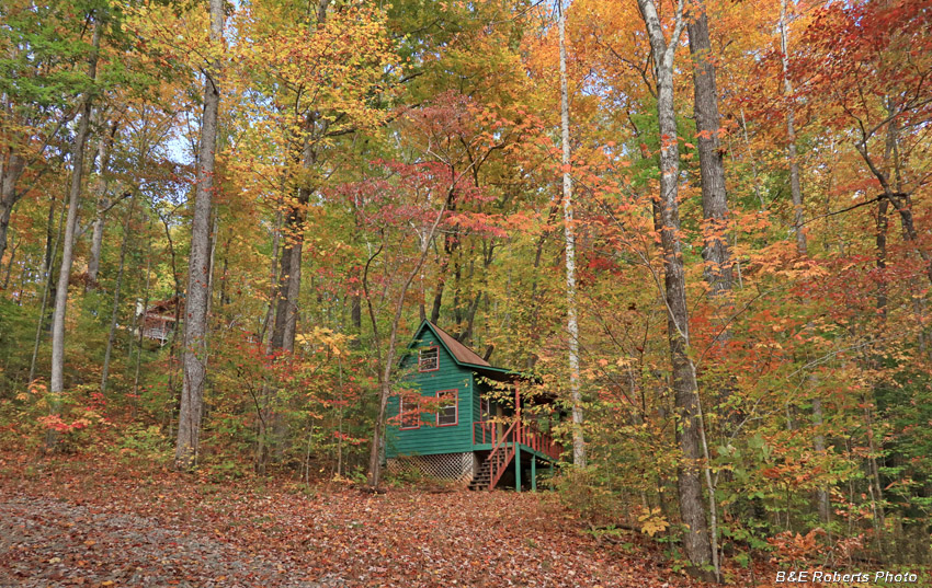 Cabin_foliage