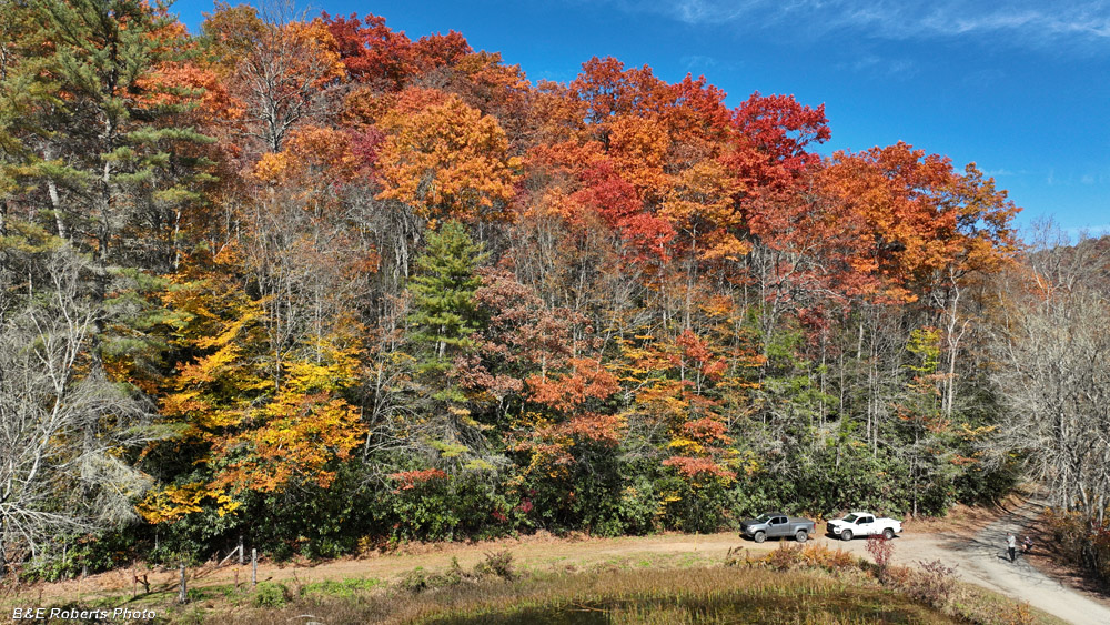 Drone_pic-Buck_Crk_bog_area