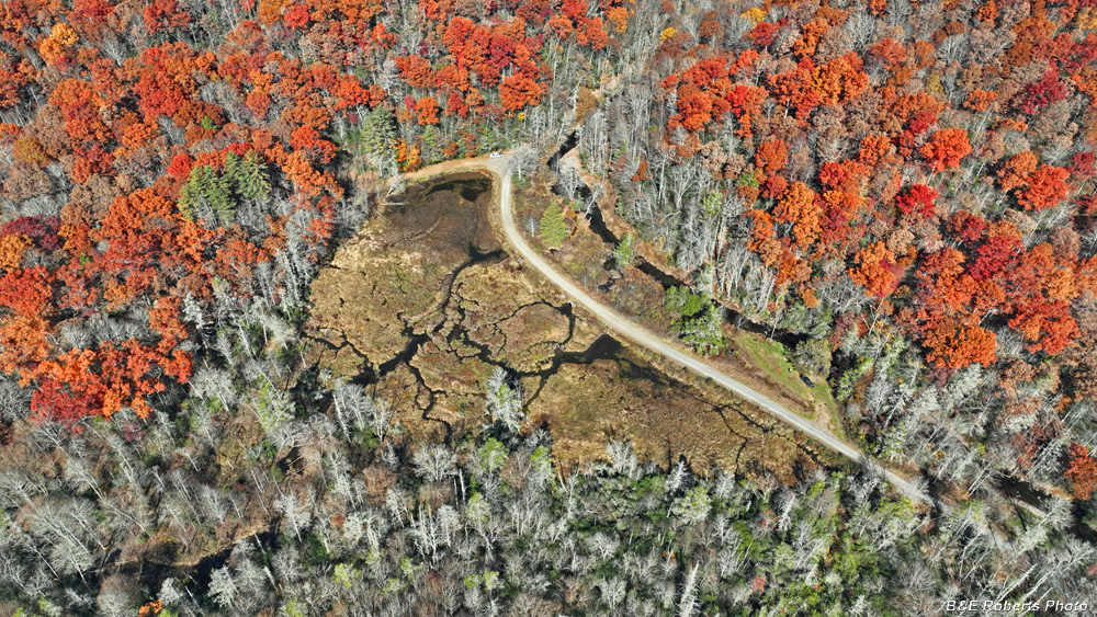 Drone_Barnards_bog