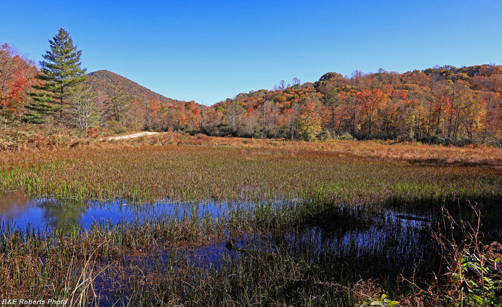 Barnards_bog