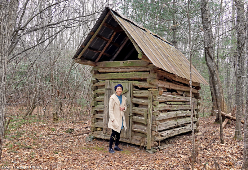 Log_shed