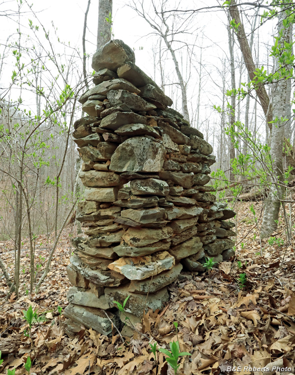 Chimney_rear