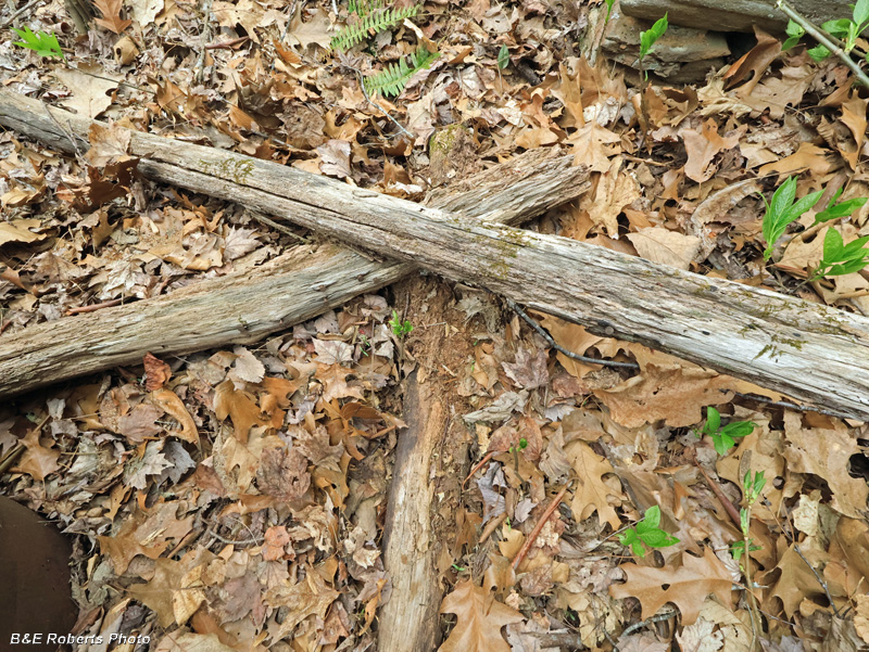 Logs