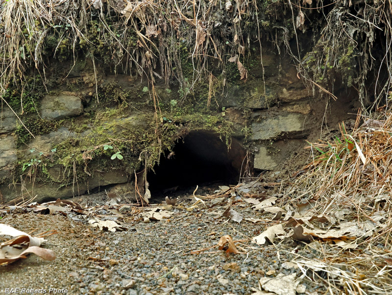 Culvert_1
