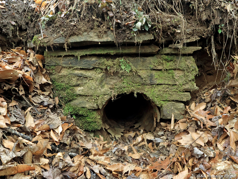 Culvert_12