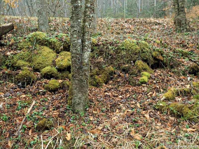 Rock_wall