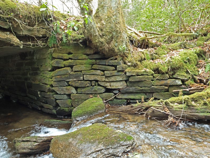 CCC_Bridge_right_wall-downstream