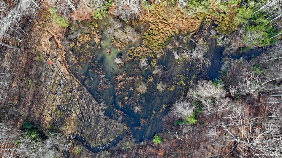 Beaver_bog_aerial