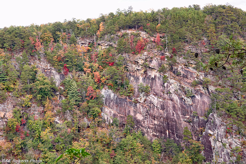 View_across_Gorge