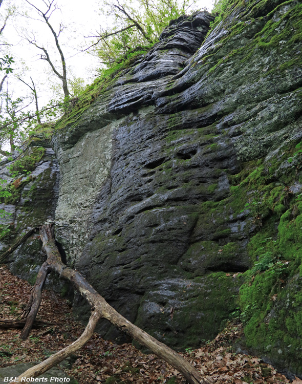Spring_Ridge_Cliffs