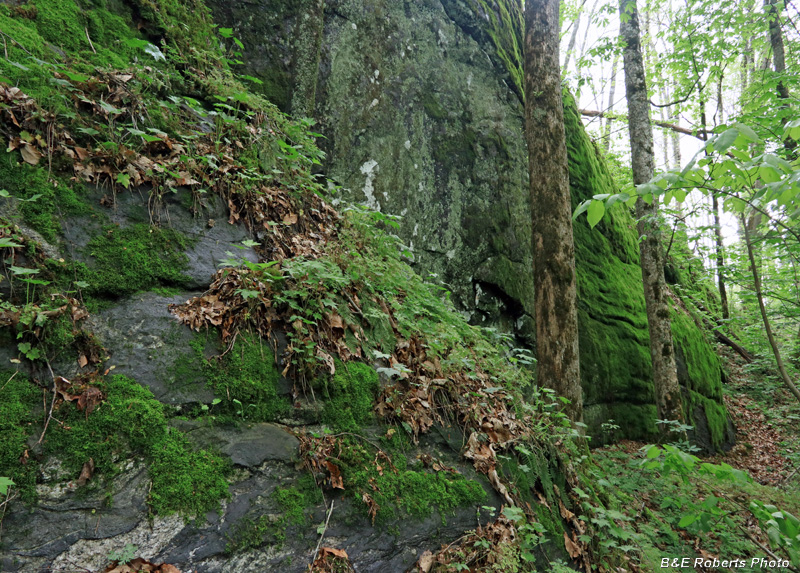 Spring_Ridge_Cliffs