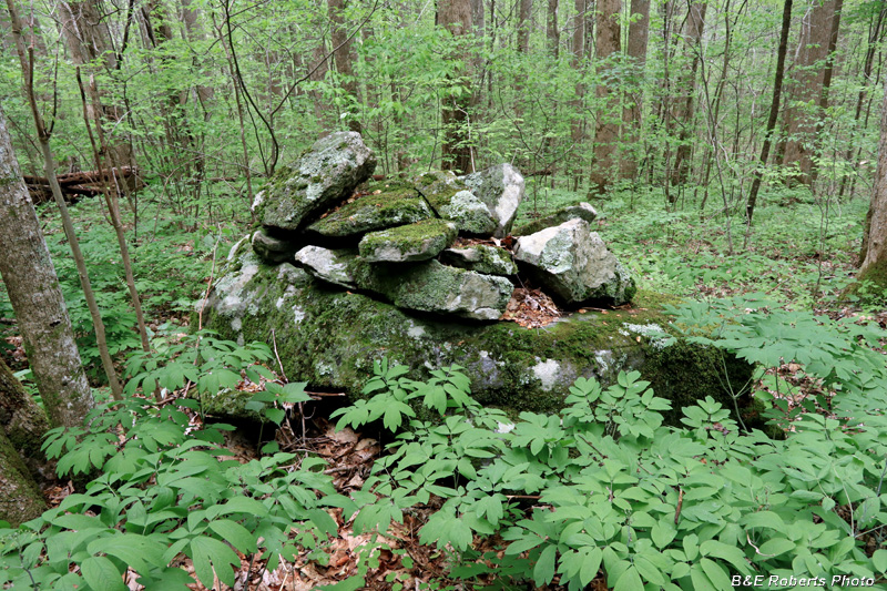 Rocks_on_boulder