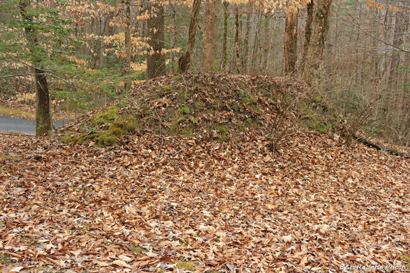 Mound