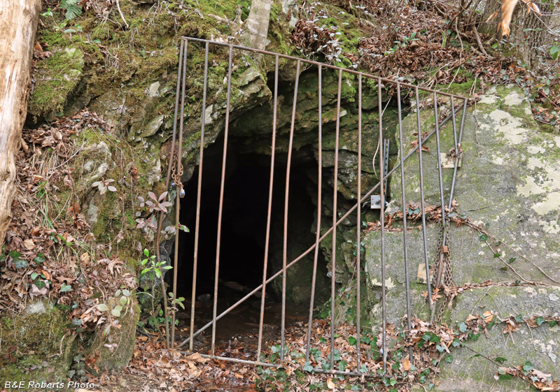 Tunnel_fence